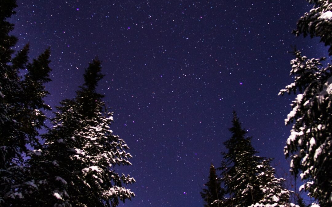 david-deshaies-Large circe of pines open up to night sky Noth Dakota Winter unsplash