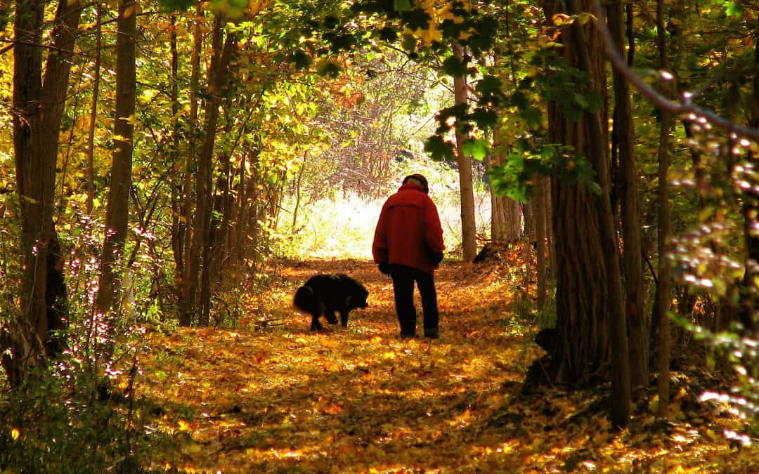 man and dog The man is named Jake. He used to work at Clever Hans Bakery and later, at the ABC Cafe, as a baker. I've never been introduced to Jake and a sighting was rare for the hours he kept. We finally met on walking this trail, Sunday, Oct. 19, 2008, after about 30+ years of parallel living in this town. Stranger No. 28.