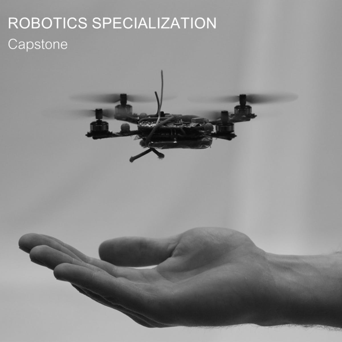 Aerial Robotics Capstone