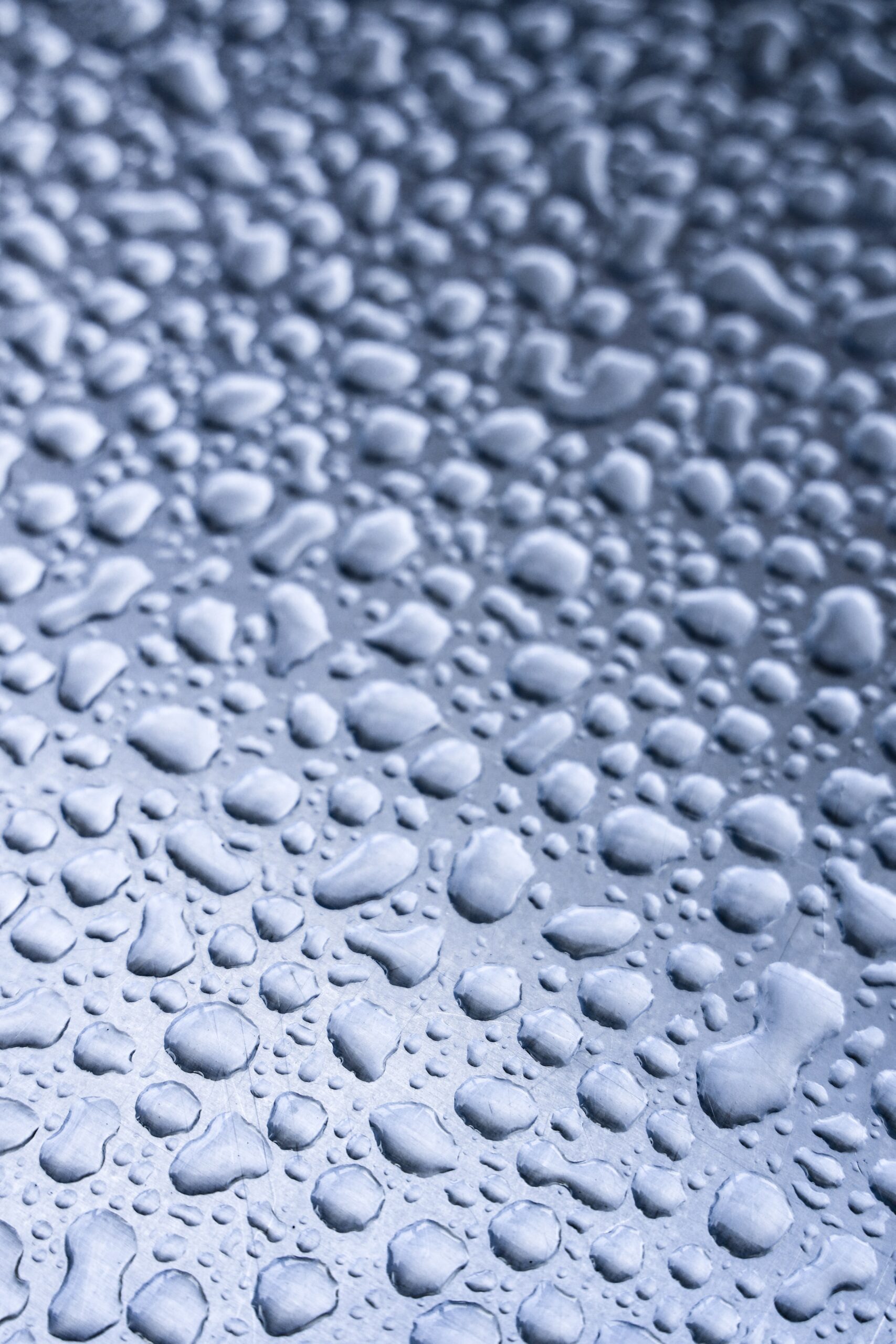 Rain drops up close by pat whelen from Unsplash