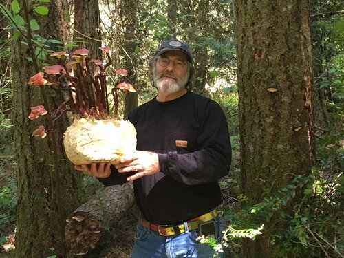 Paul Stamets with Reishi mushrooms.