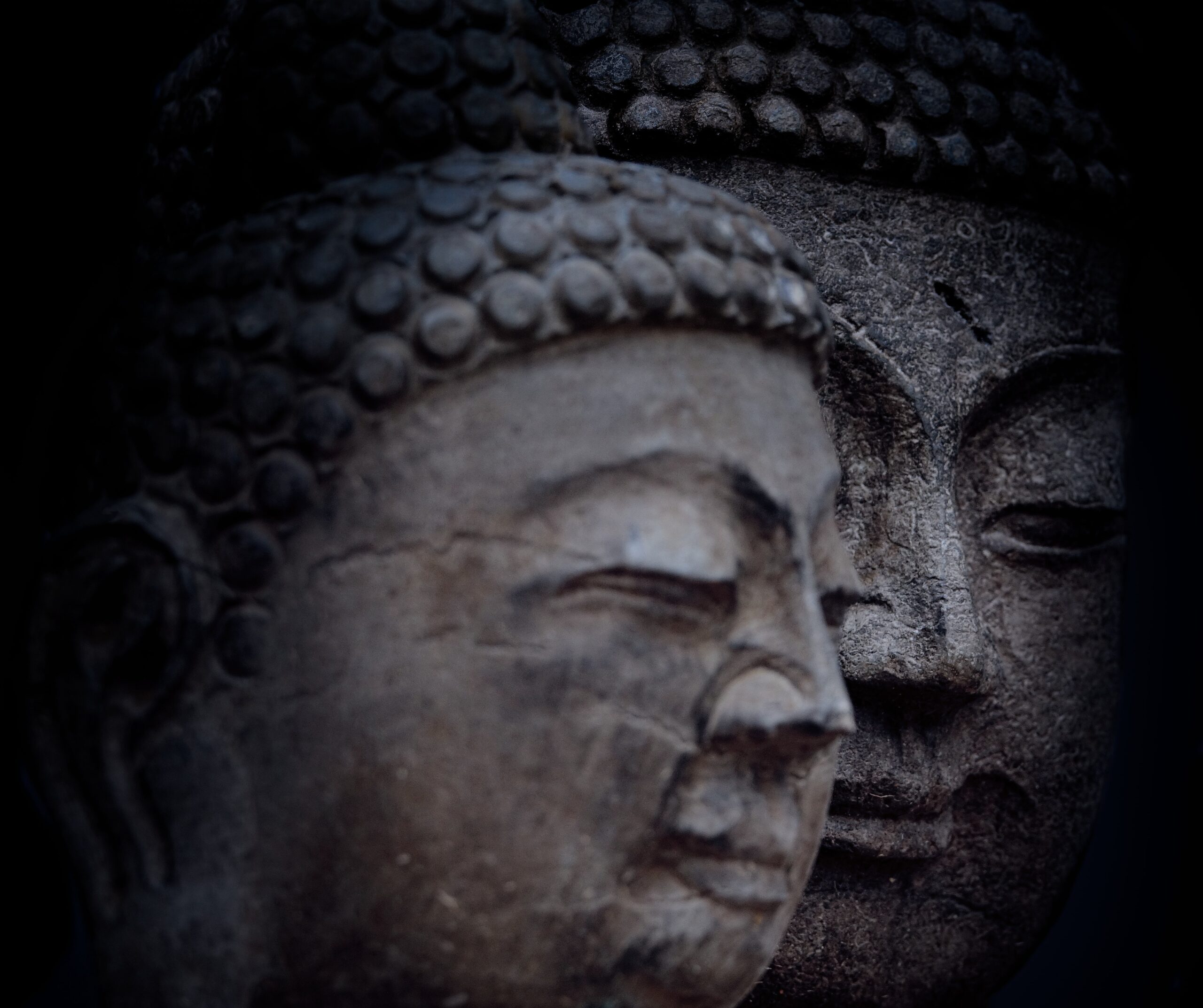 davidcohen-Grey Buddha heads 2-unsplash