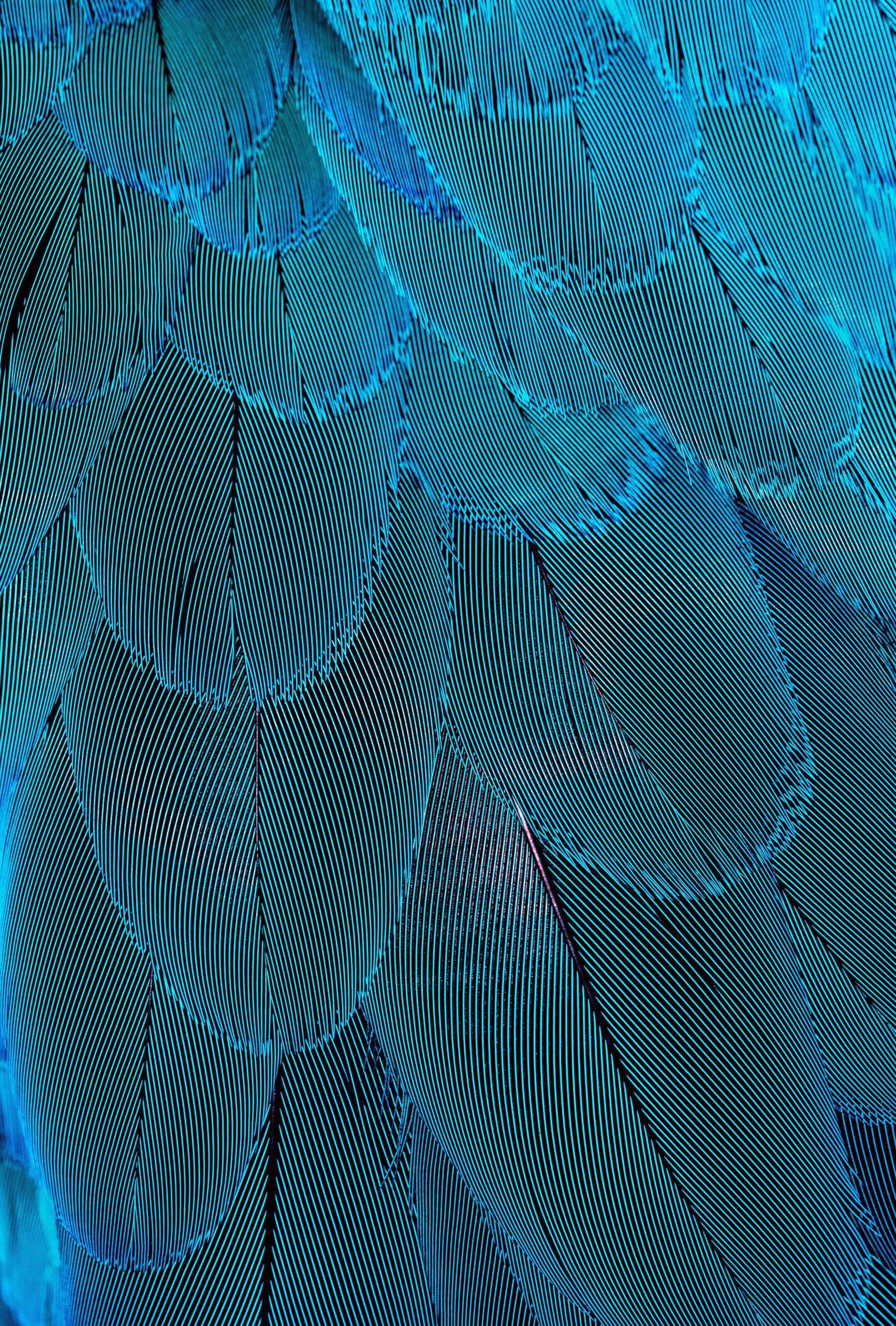 david-clode-background feathered image-unsplash