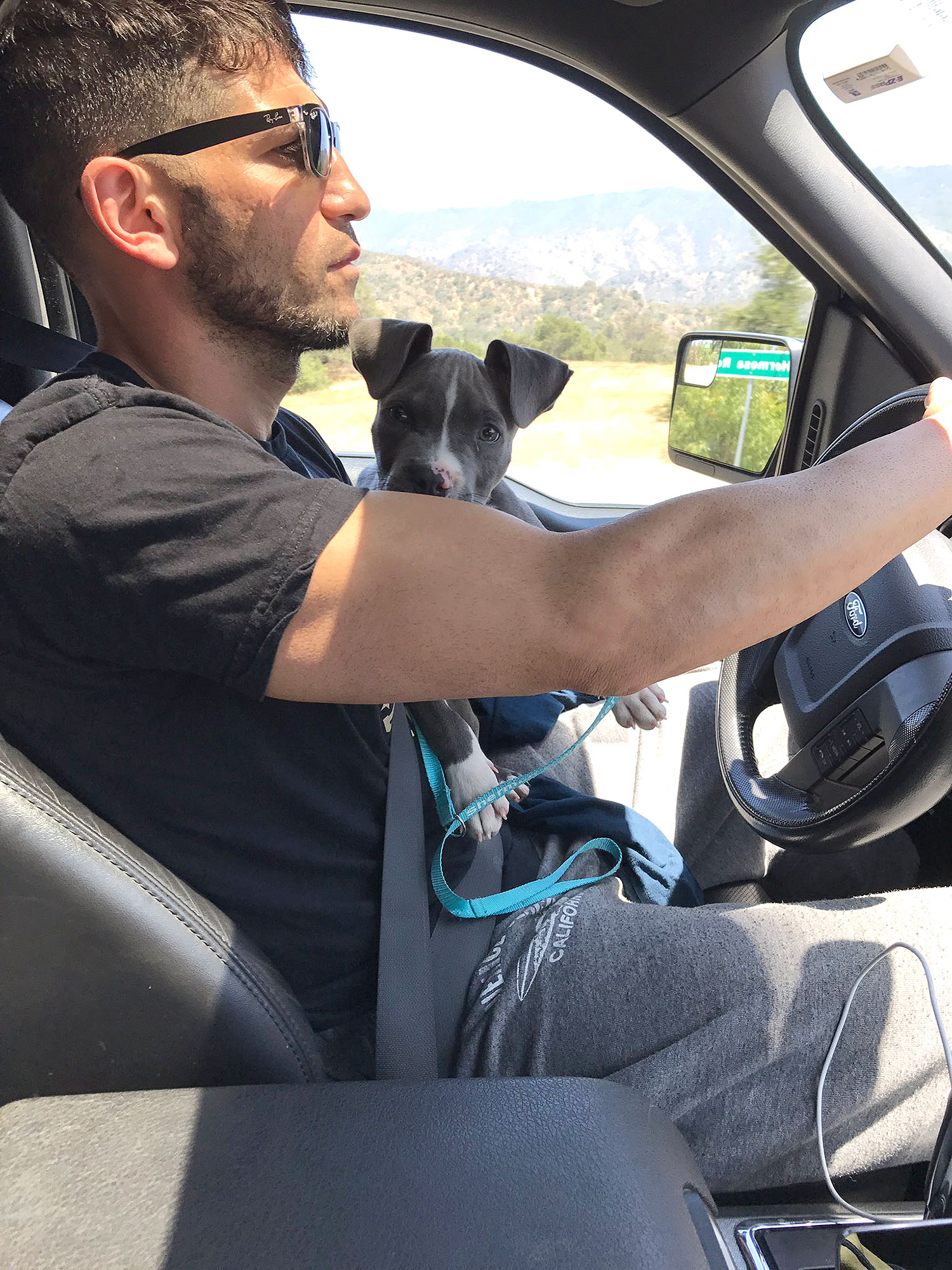 jon-bernthal in car with puppy in his lap while he drove
