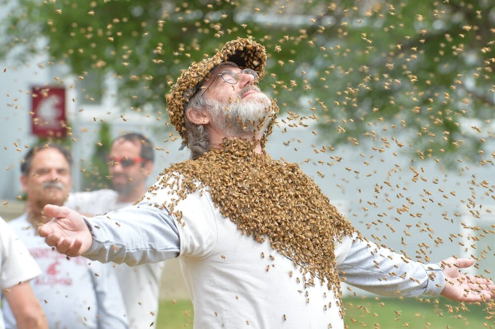 Paul Stamets covered in honeybees