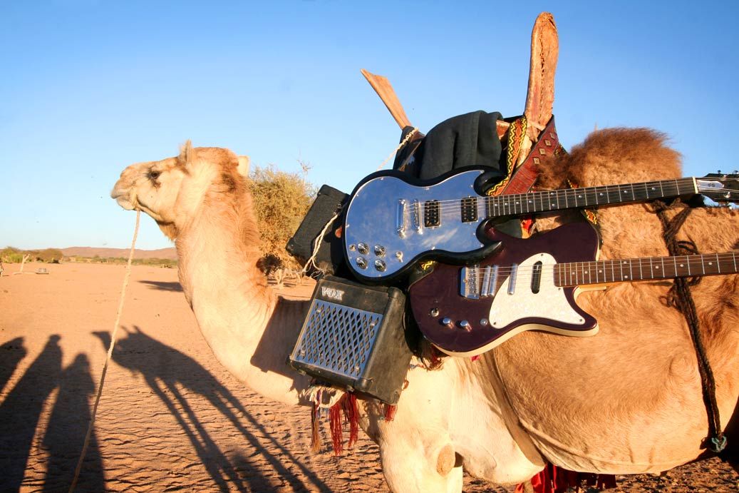 Tinariwen the magic of the desert on camel roadie