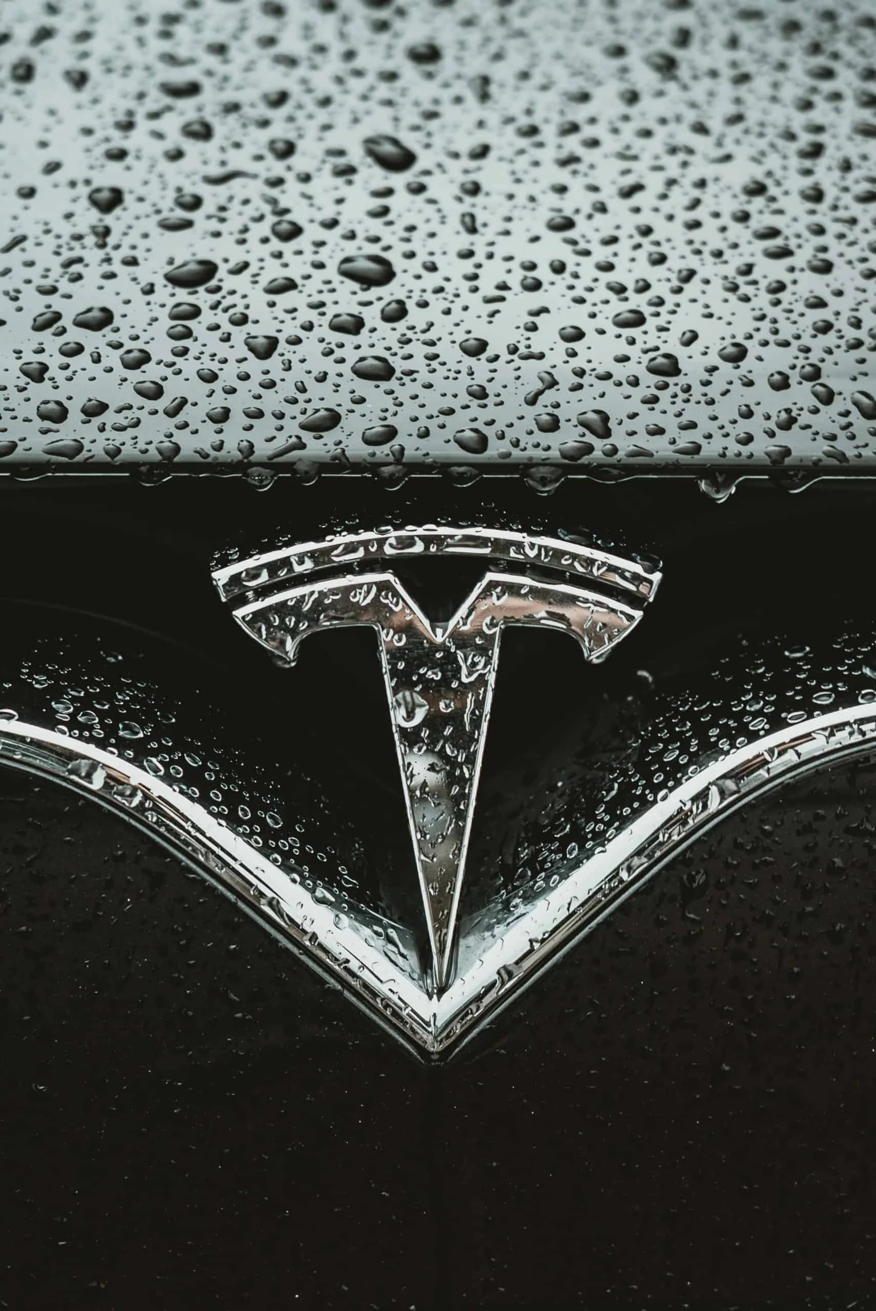 andreas-dress-Tesla front emblem on hood grill beads of rain water over black hood unsplash-1-scaled
