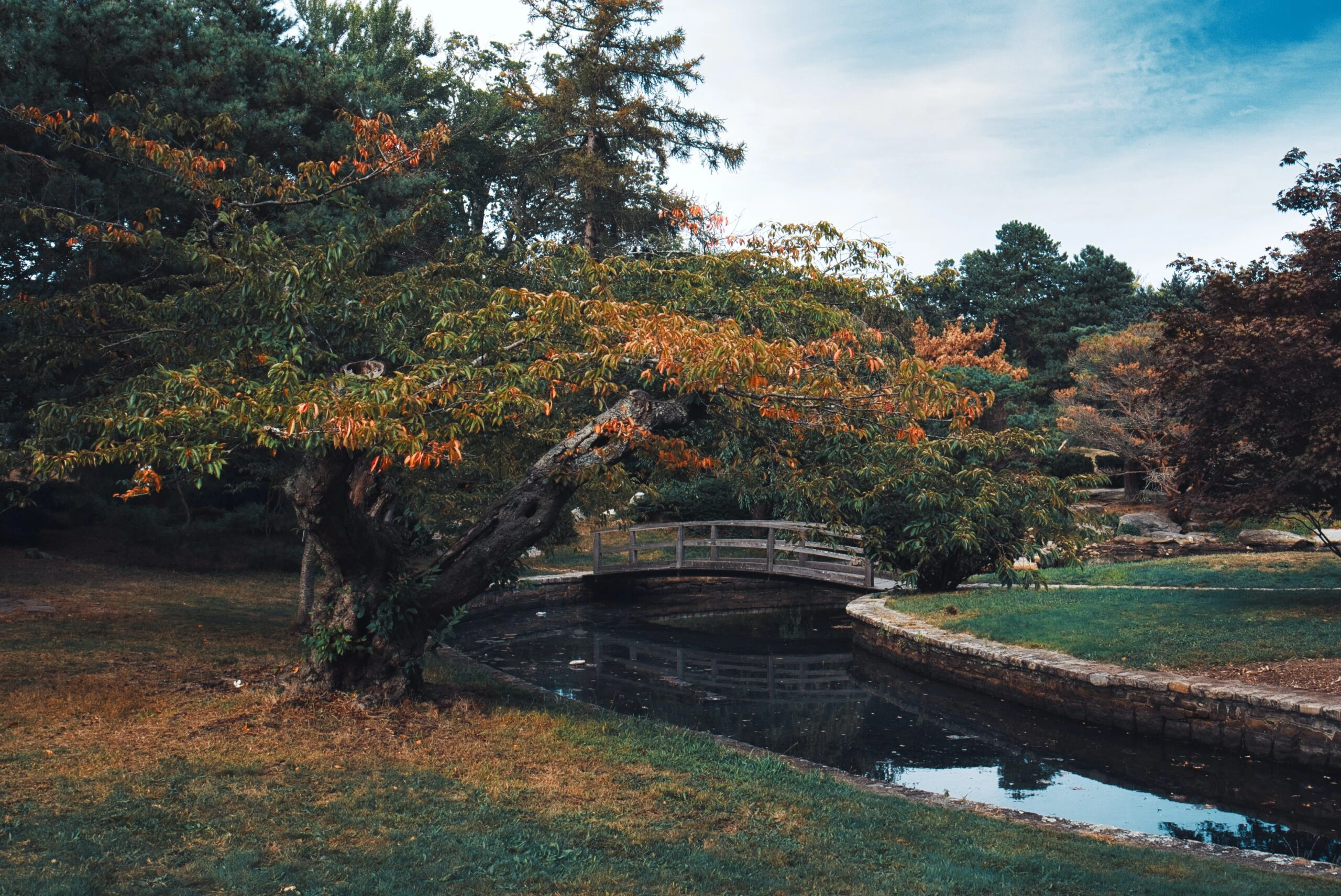 andrew-thornebrooke-Tokyo Gardens with stream and natural bridge-unsplash