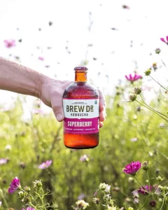 Brew-Doctor-Superberry-Kombucha-September-2019-Instagram