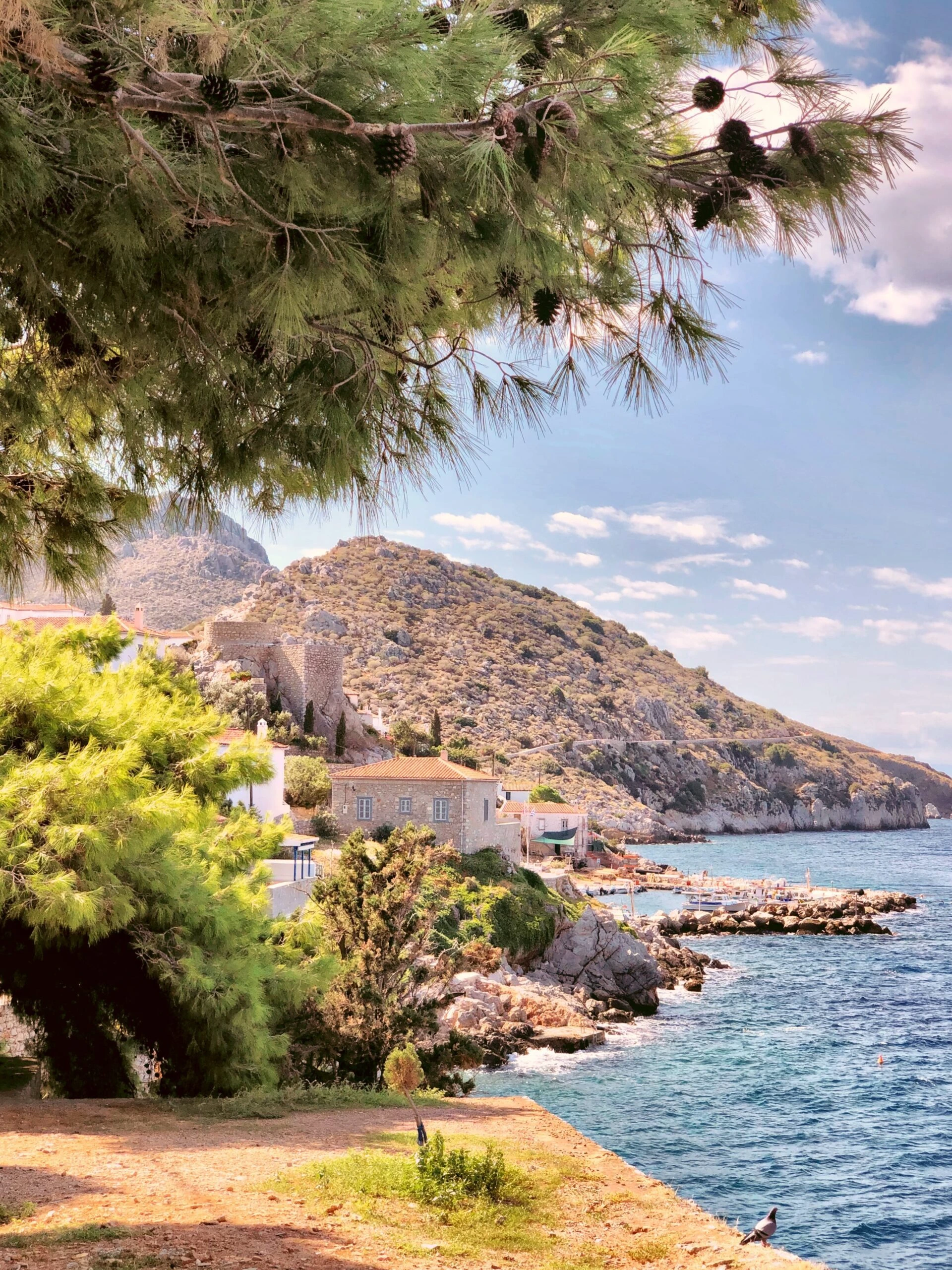 despina-galani-Greek Island of Hydra beach with pine tree in foreground-unsplash-scaled