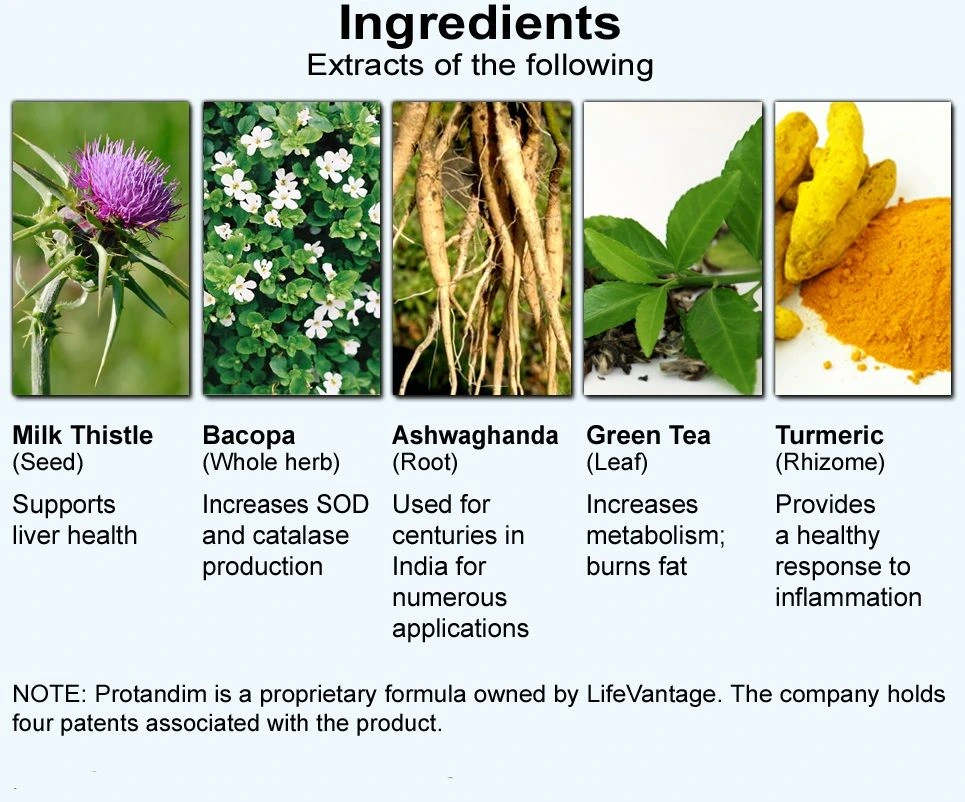 Ingredients extracts of the following protandim
