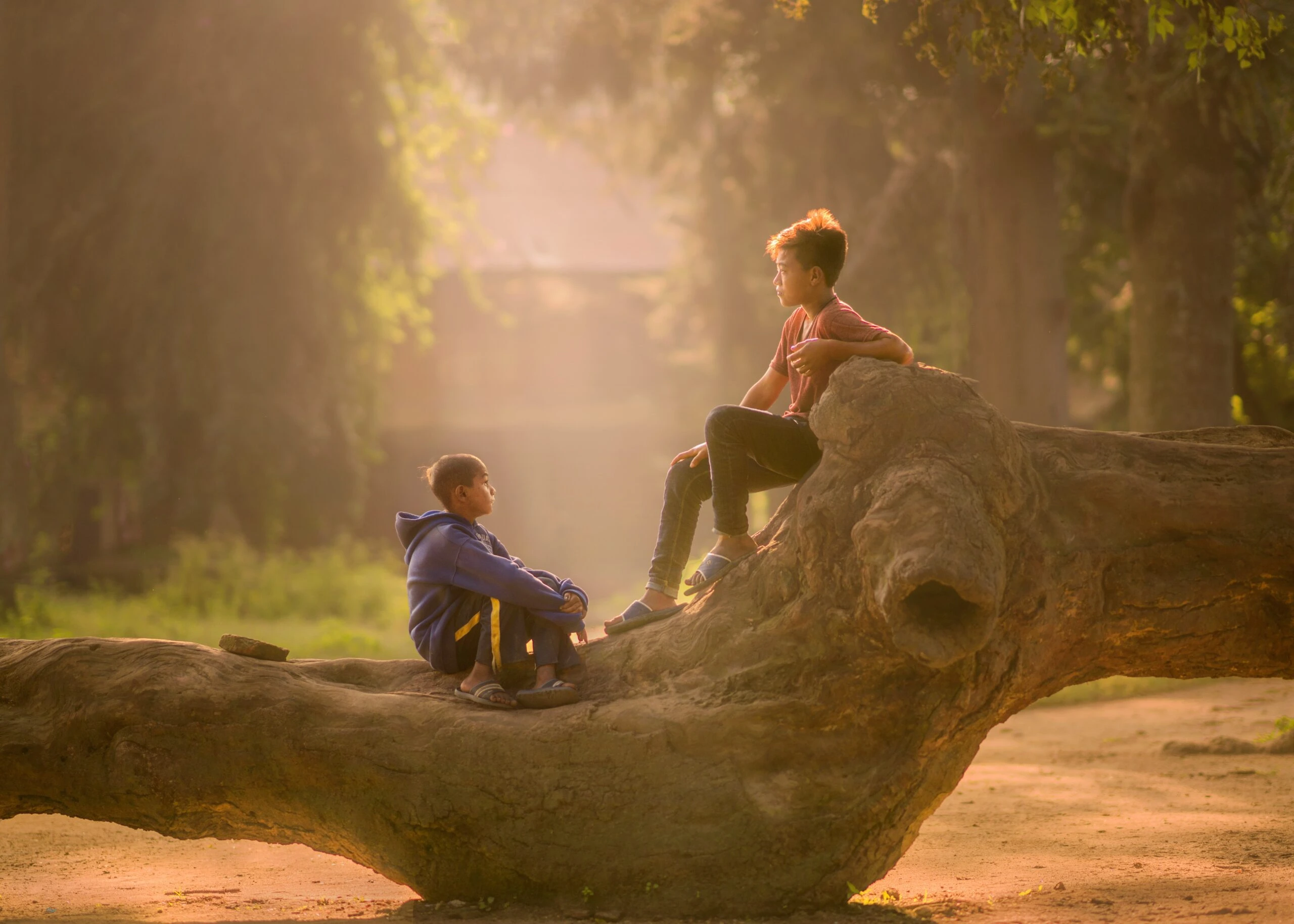 robert-collins-Two boys on deadwood talking sunsplashed in evening light-unsplash