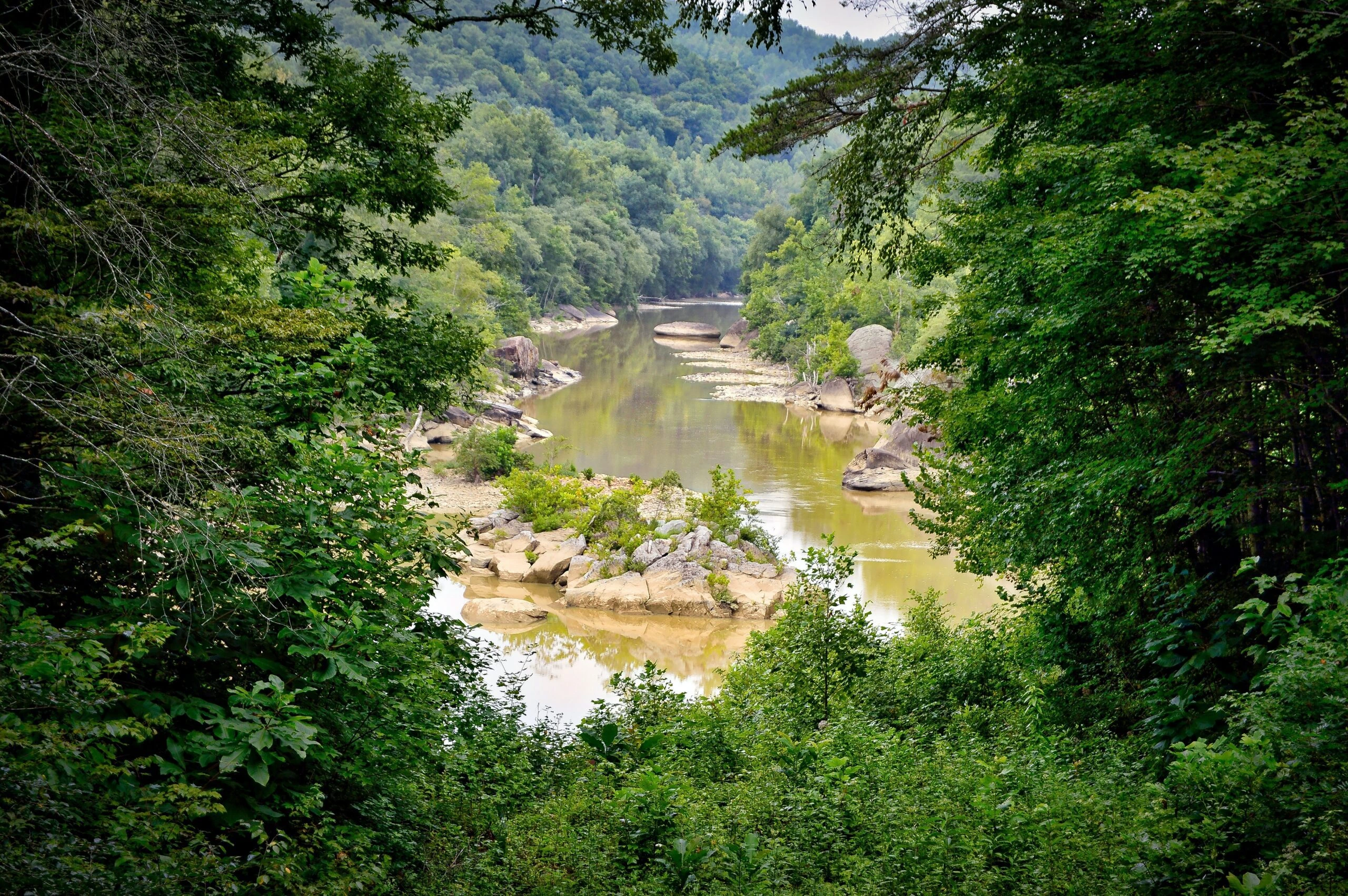 william-phipps-Kentucky creek-unsplash