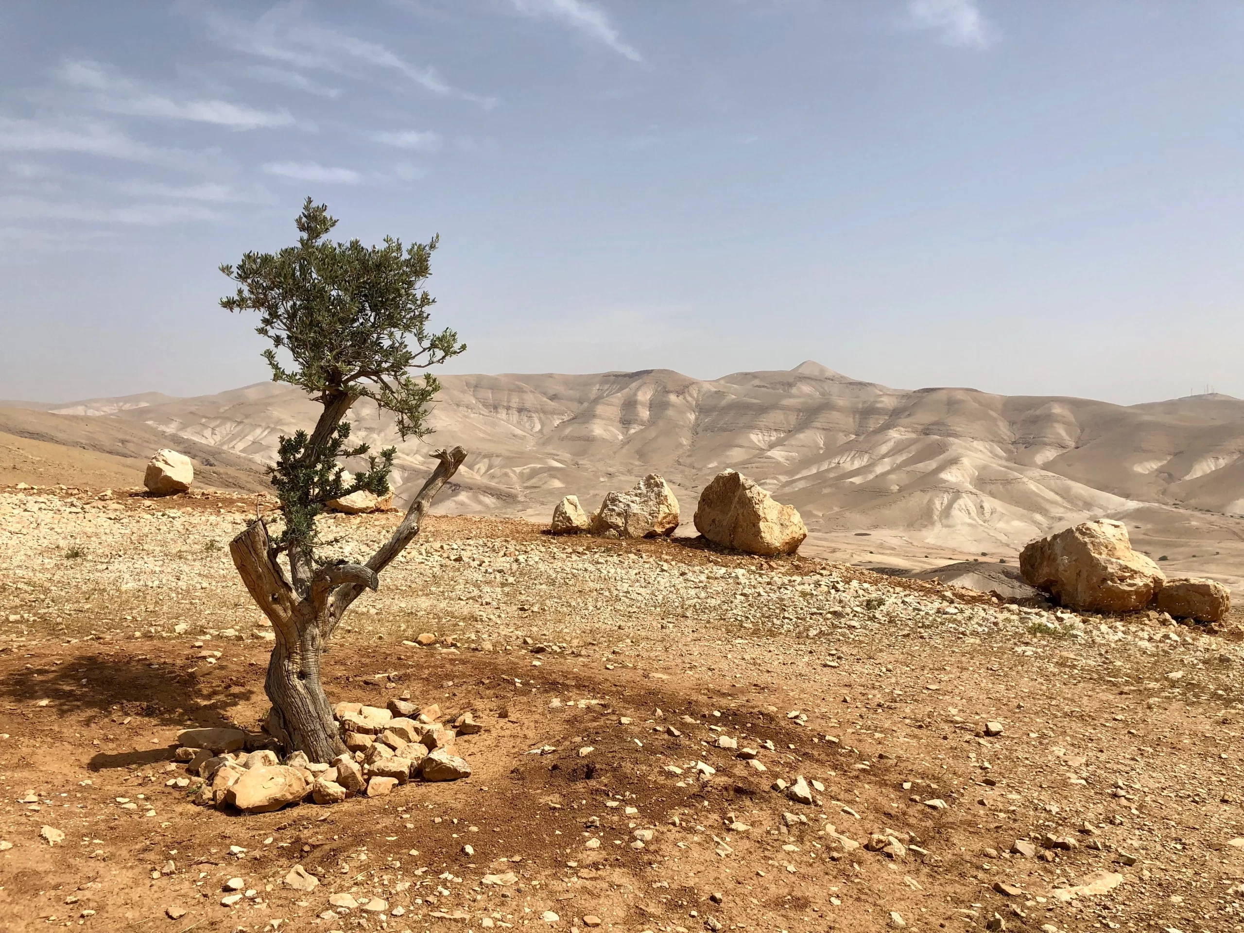 david-mclenachan-The hills above Jericho on the West Bank-unsplash