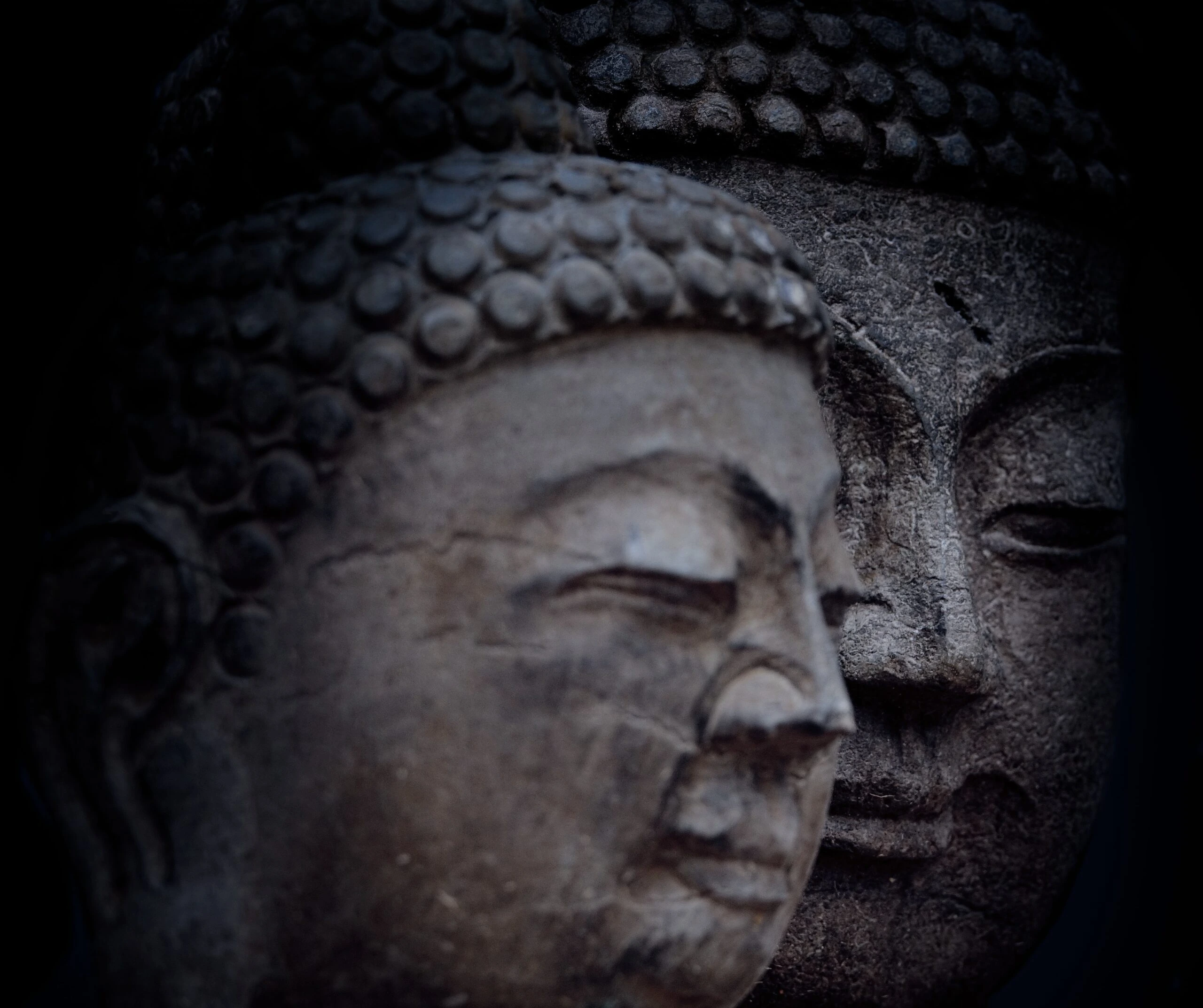 davidcohen grey buddha heads -unsplash-scaled
