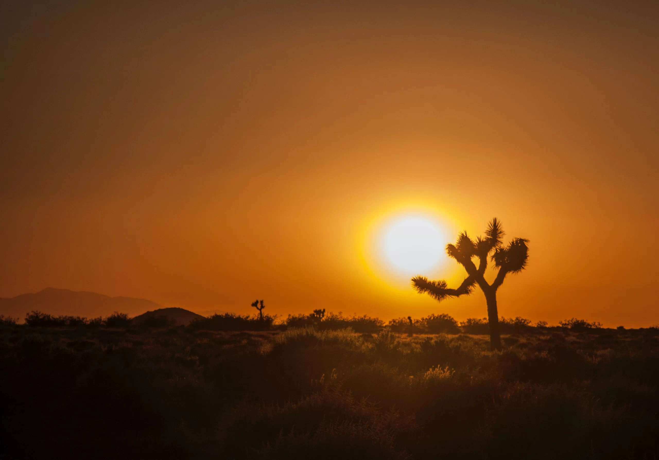 reysla-fisher-Mojave Desert sunset-unsplash