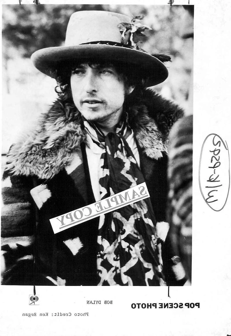 Bob Dylan 1976