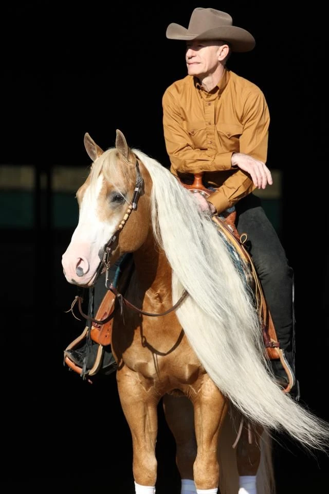 Lyle Lovett and his Horse, Smart and Shiney