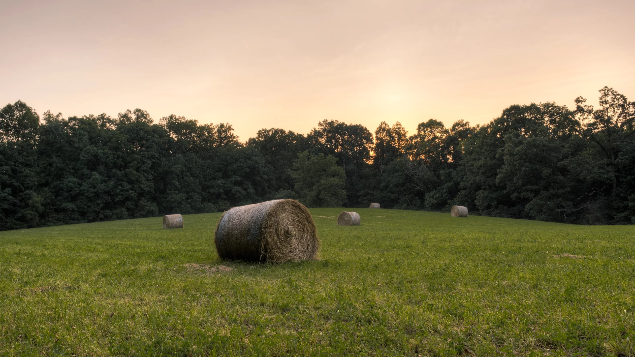 Laurel County, United States Published on April 23, 2018 Canon, EOS 5D Mark III Free to use under the Unsplash License A rural scene in Kentucky featuring some hay bales.