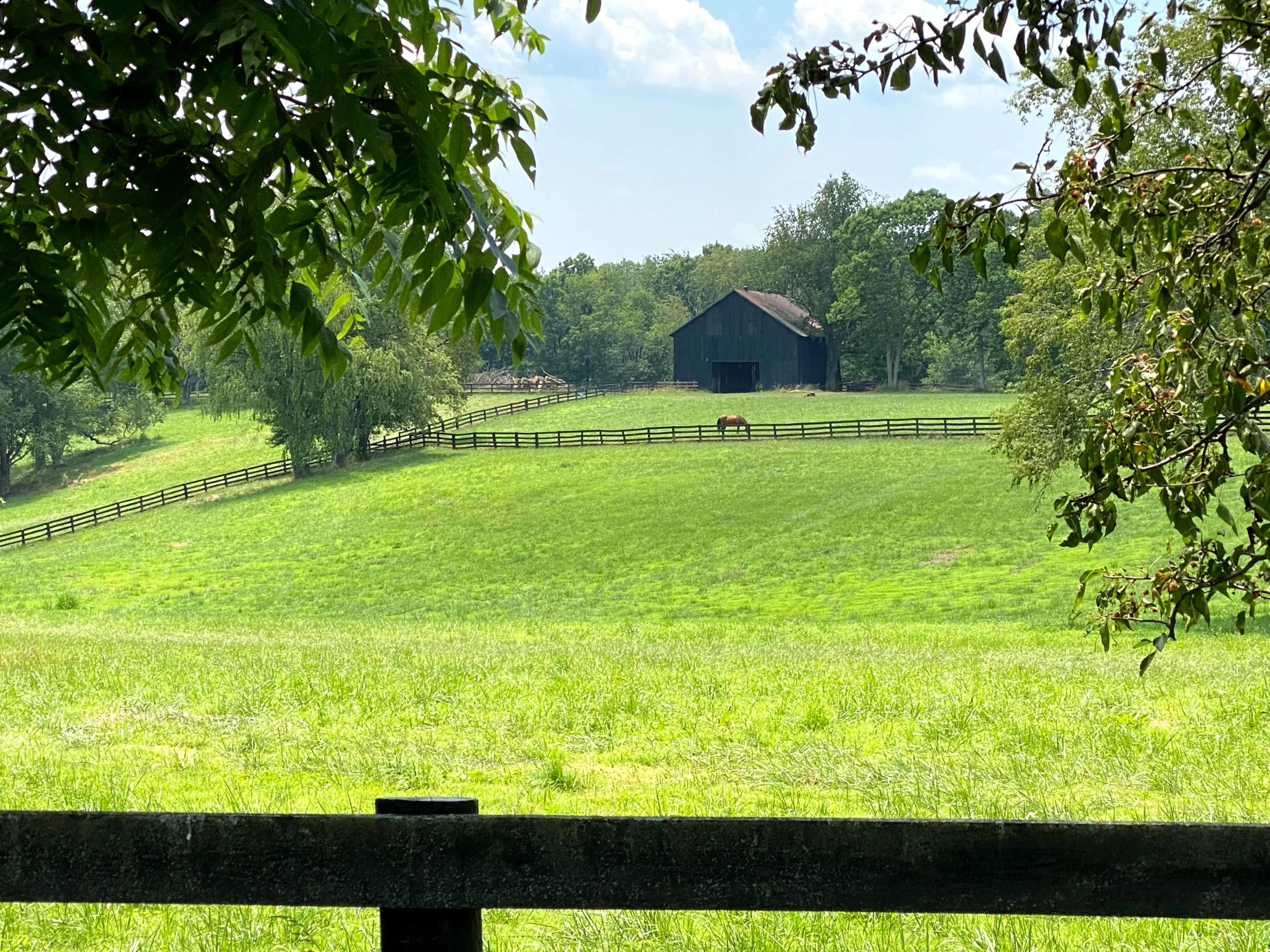 Published on August 1, 2020 Apple, iPhone 11 Pro Max Free to use under the Unsplash License Rustic Barn, Green Pastures and a Horse living its life.