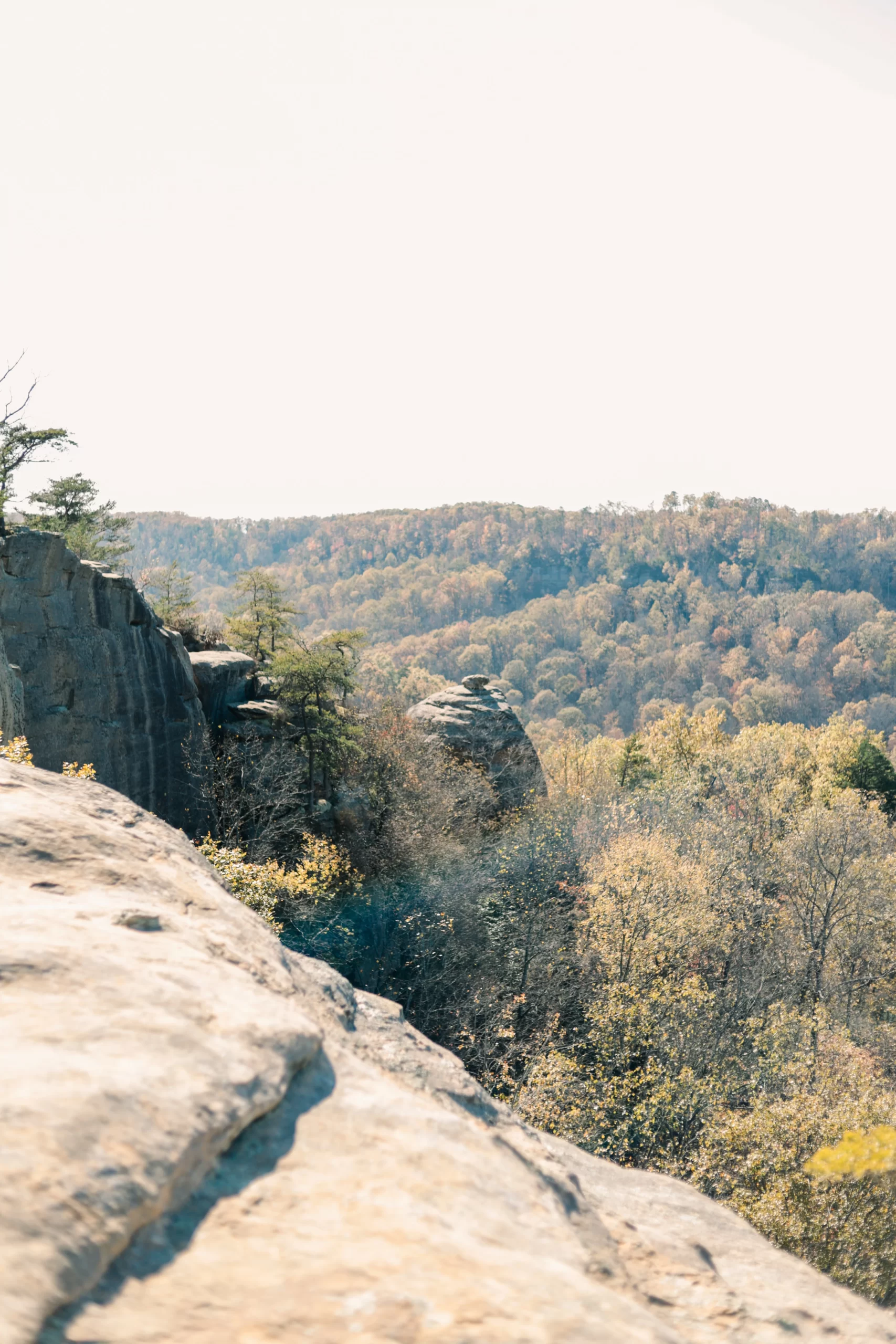 Red River Gorge, Kentucky, USA Published on January 29, 2021 Canon, EOS 6D Mark II Free to use under the Unsplash License