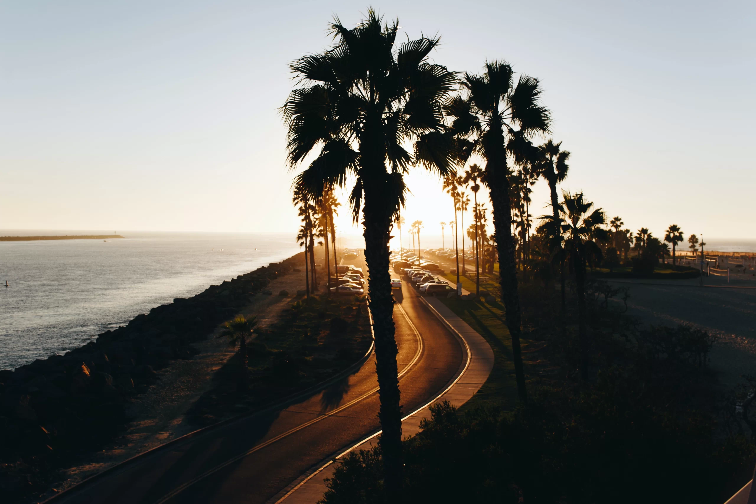 Mission Beach, San Diego, United States Published on October 3, 2016 Canon, EOS 6D Free to use under the Unsplash License Palm tree boulevard