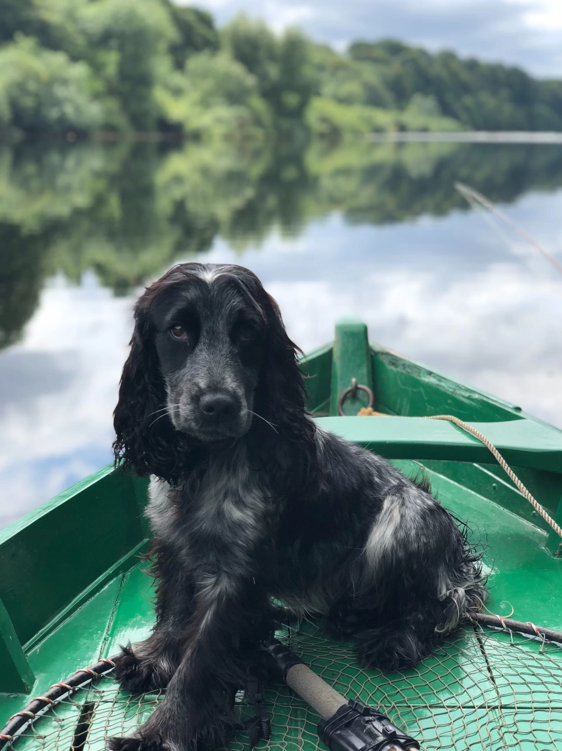 River Tweed, Coldstream TD12 4HE, UK, Scottish Borders, United Kingdom
Published on July 26, 2018
Apple, iPhone X
Free to use under the Unsplash License
Fly fishing on the Tweed for salmon, unsuccessfully. The dog was less than impressed by my casting....
