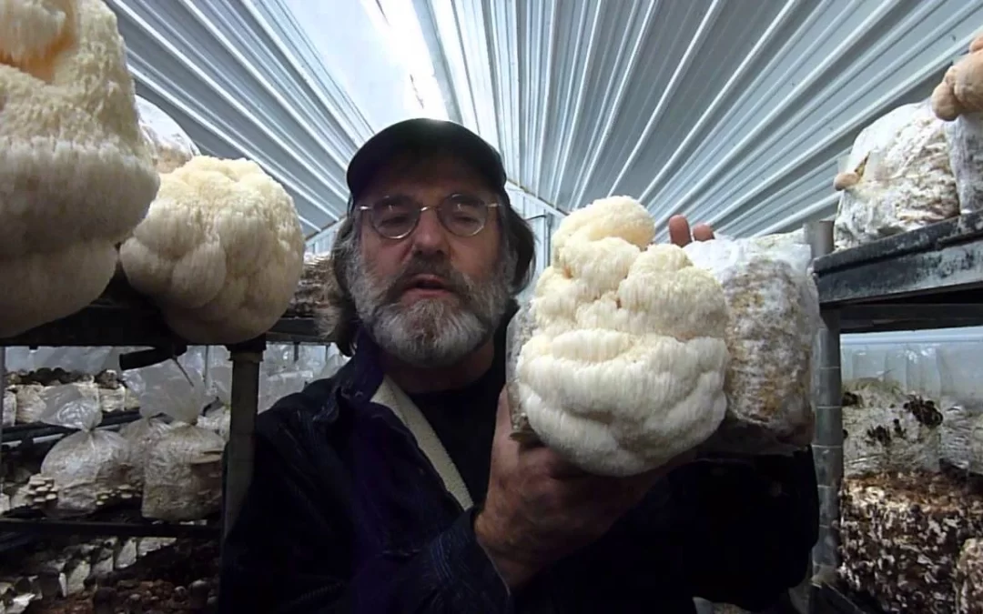 Lions Mane in the arms of Paul Stamets