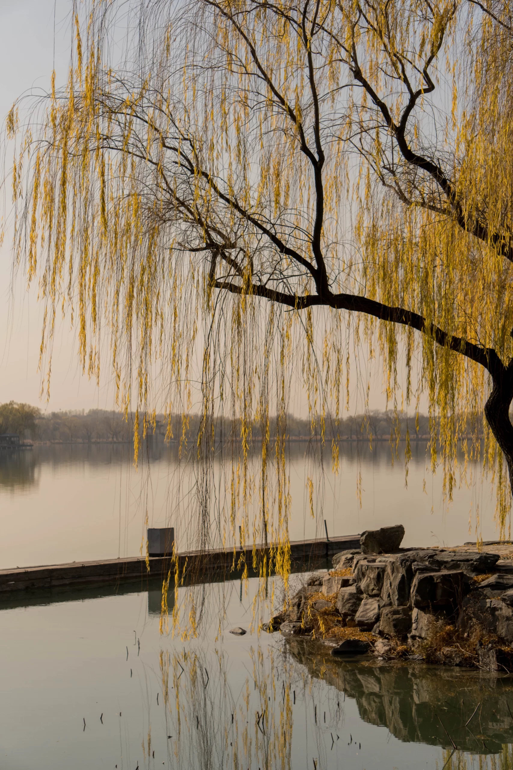 Downloads 5,350 Featured in Spirituality Summer Palace, Beijing, China Published on December 6, 2018 SONY, ILCE-6300 Free to use under the Unsplash License
