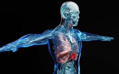 Explore the fascinating world of human physiology now!
